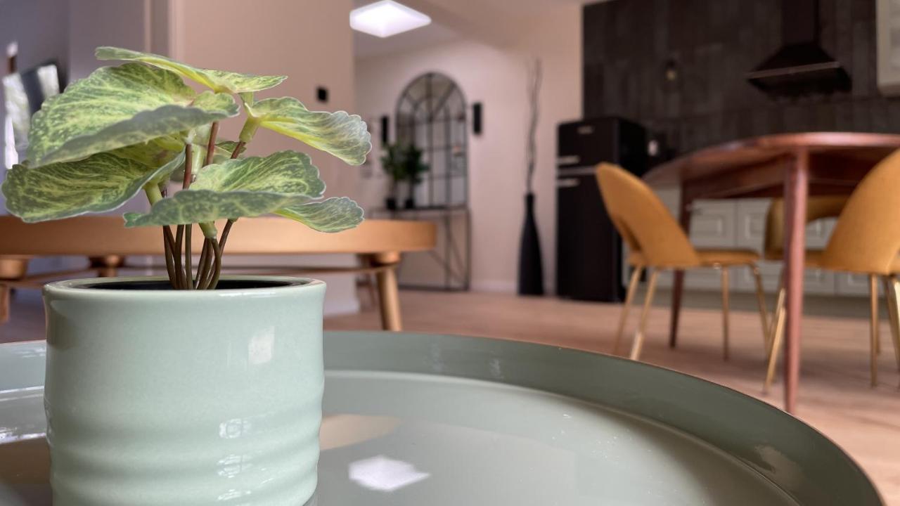 Malis-Ferienhaus Bad Harzburg Eksteriør billede
